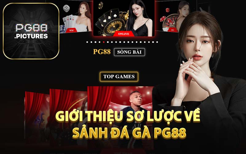 Giới Thiệu Sơ Lược Về Sảnh Đá Gà PG88