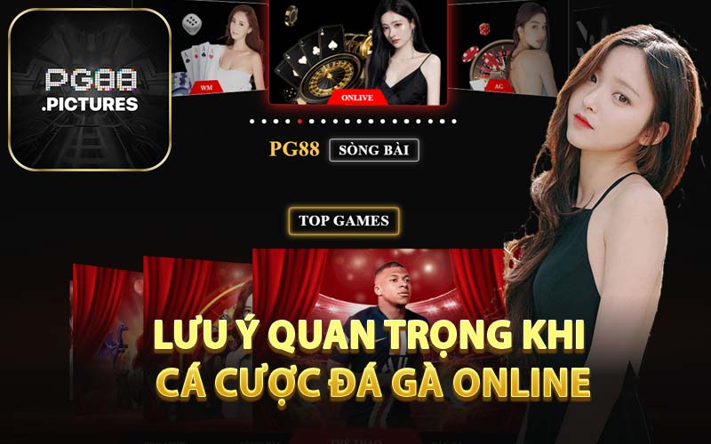 Lưu Ý Quan Trọng Khi Cá Cược Đá Gà Online